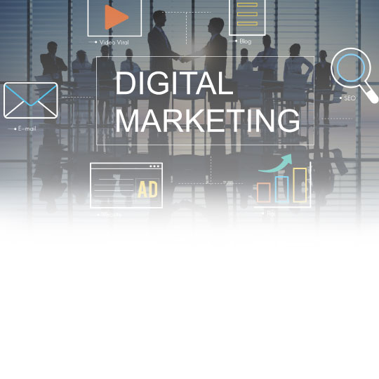 MScDigitalMarketing